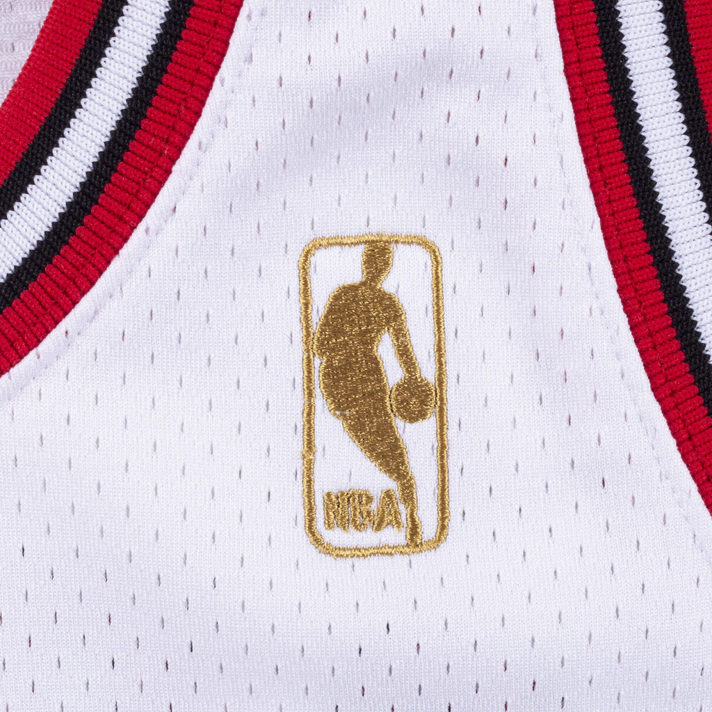 Michael Jordan Chicago Bulls 1987-88 Authentic Jersey